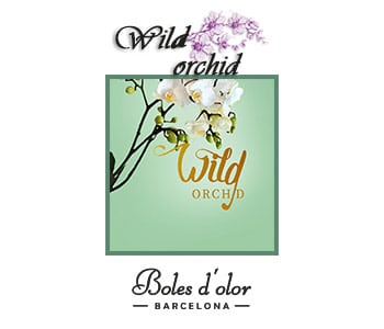 Bruma de Ambiente - Wild Orchid - Boles D´Olor