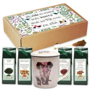 003-caja-regalo-de-te-con-mug-elephant-pink