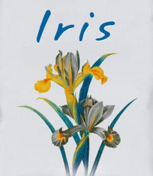 Iris / Aroma del Mes – 25%